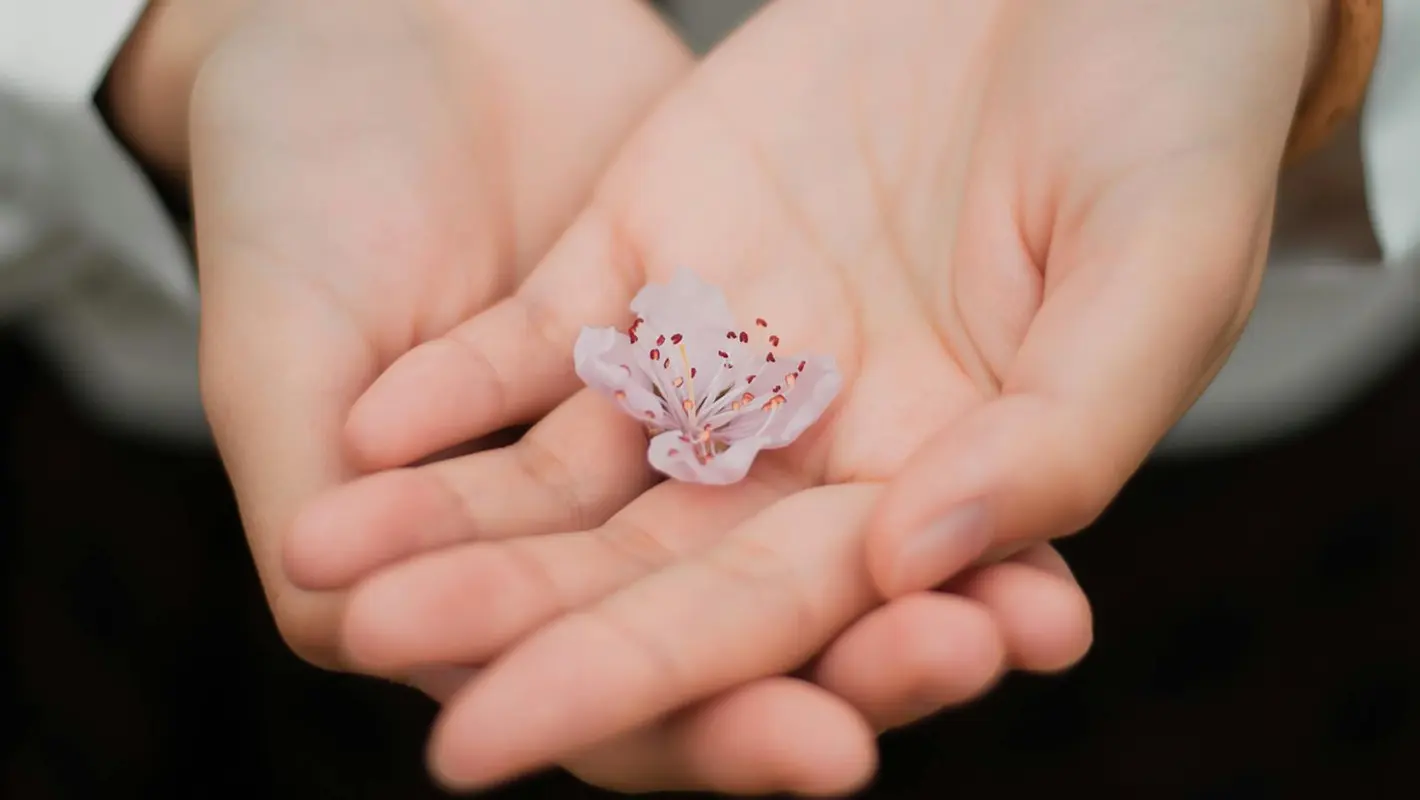 تمرین شکرگزاری (Gratitude)