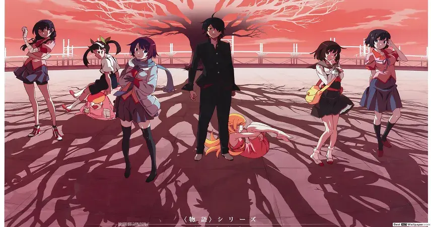 انیمیشن Monogatari Series
