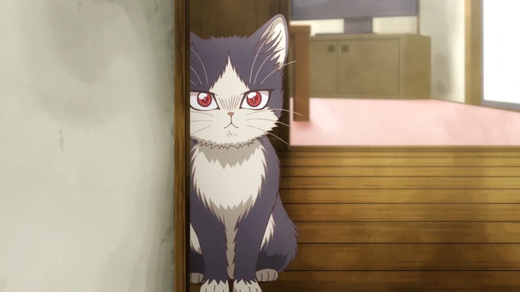 ایمیشن My Roommate Is a Cat